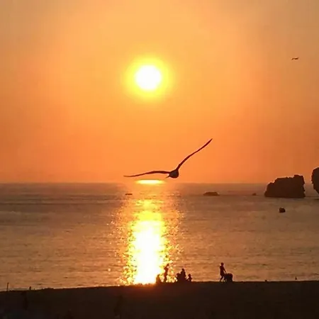 - The Little Star * נאזרה