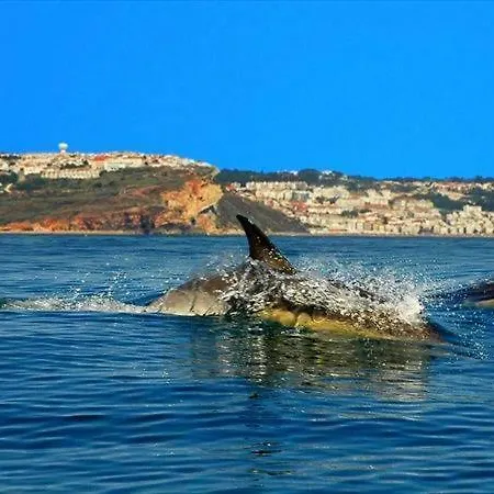 בית נופש - The Little Star *