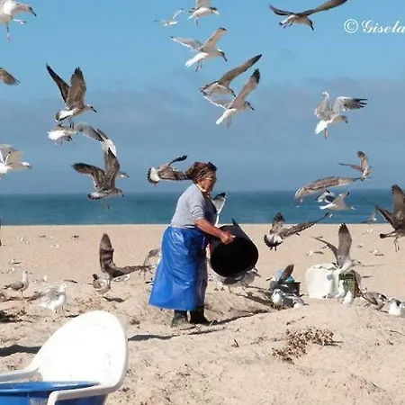 בית נופש - The Little Star נאזרה